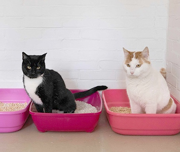 猫のトイレ