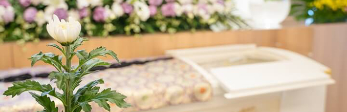 一日葬とは?家族葬との違いや費用の比較、一日葬の流れを解説
