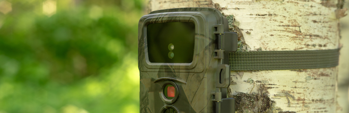 トレイルカメラ