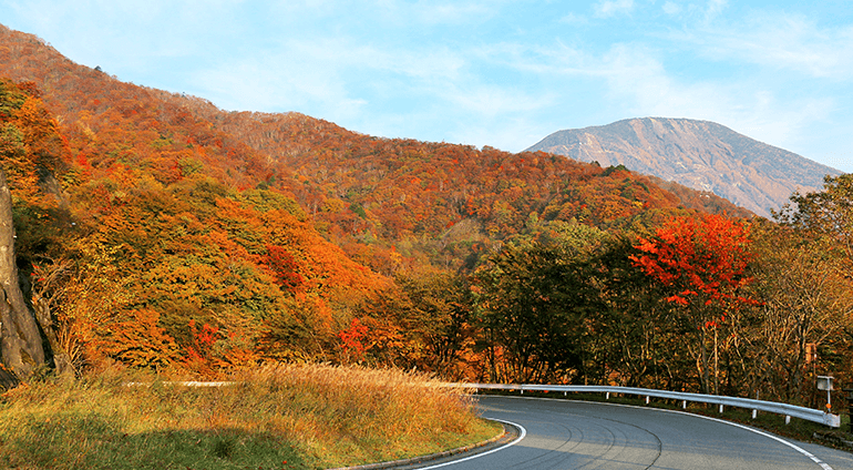 紅葉を見に山へドライブ！山道や坂道を安全に運転するコツ