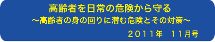 高齢者を日常の危険から守る 〜高齢者の身の回りに潜む危険とその対策〜