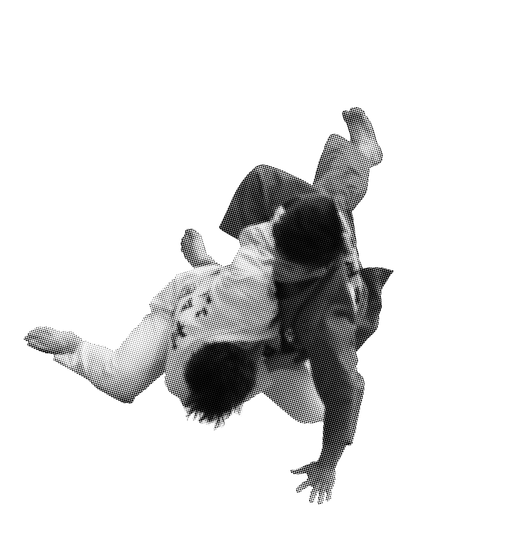 柔道選手